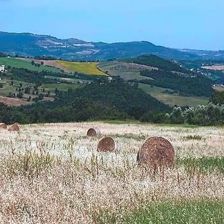 Umbrian Escape To Todi